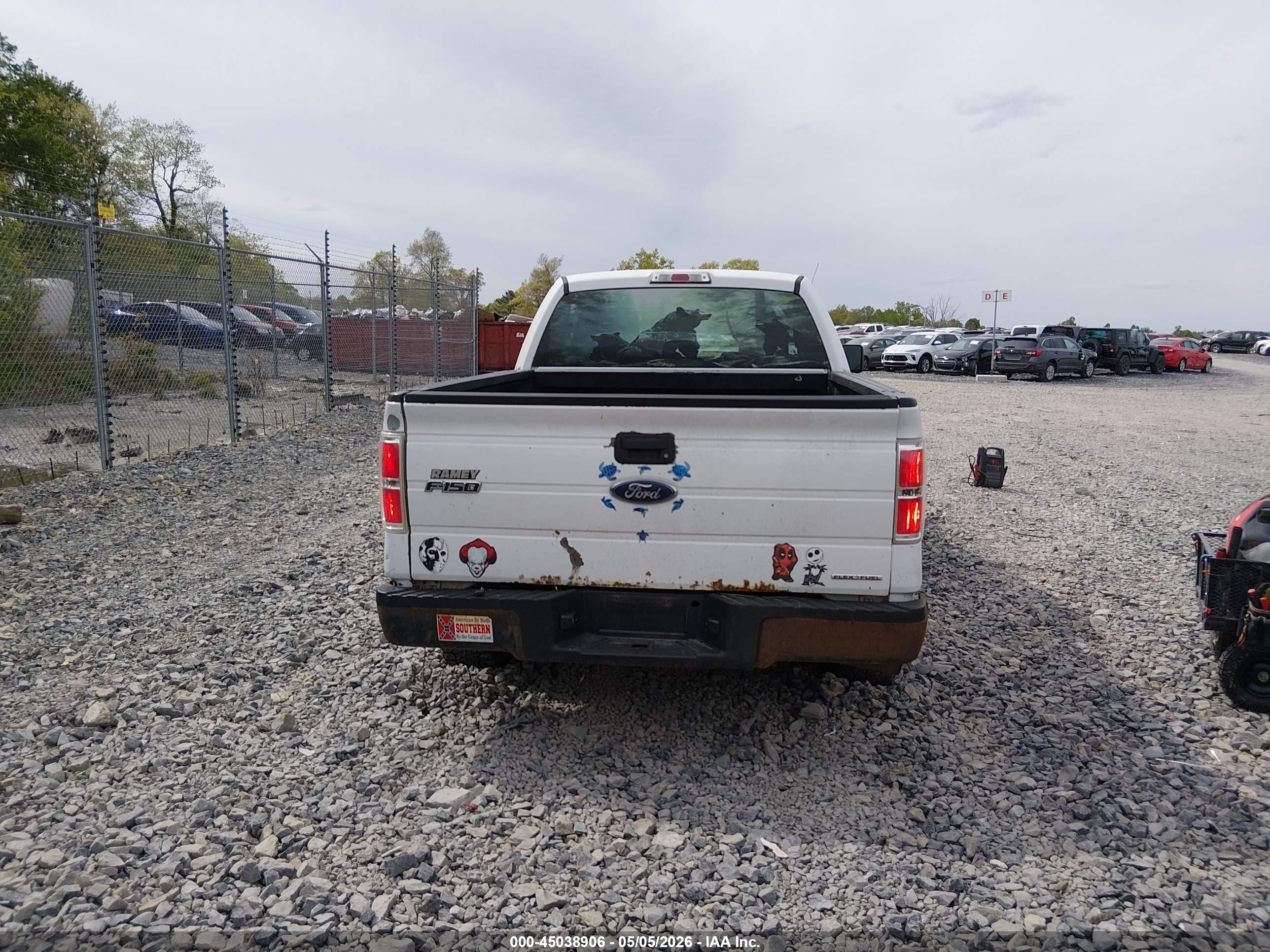 2013 Ford F-150 Xl White vin: 1FTFX1EFXDKF24761