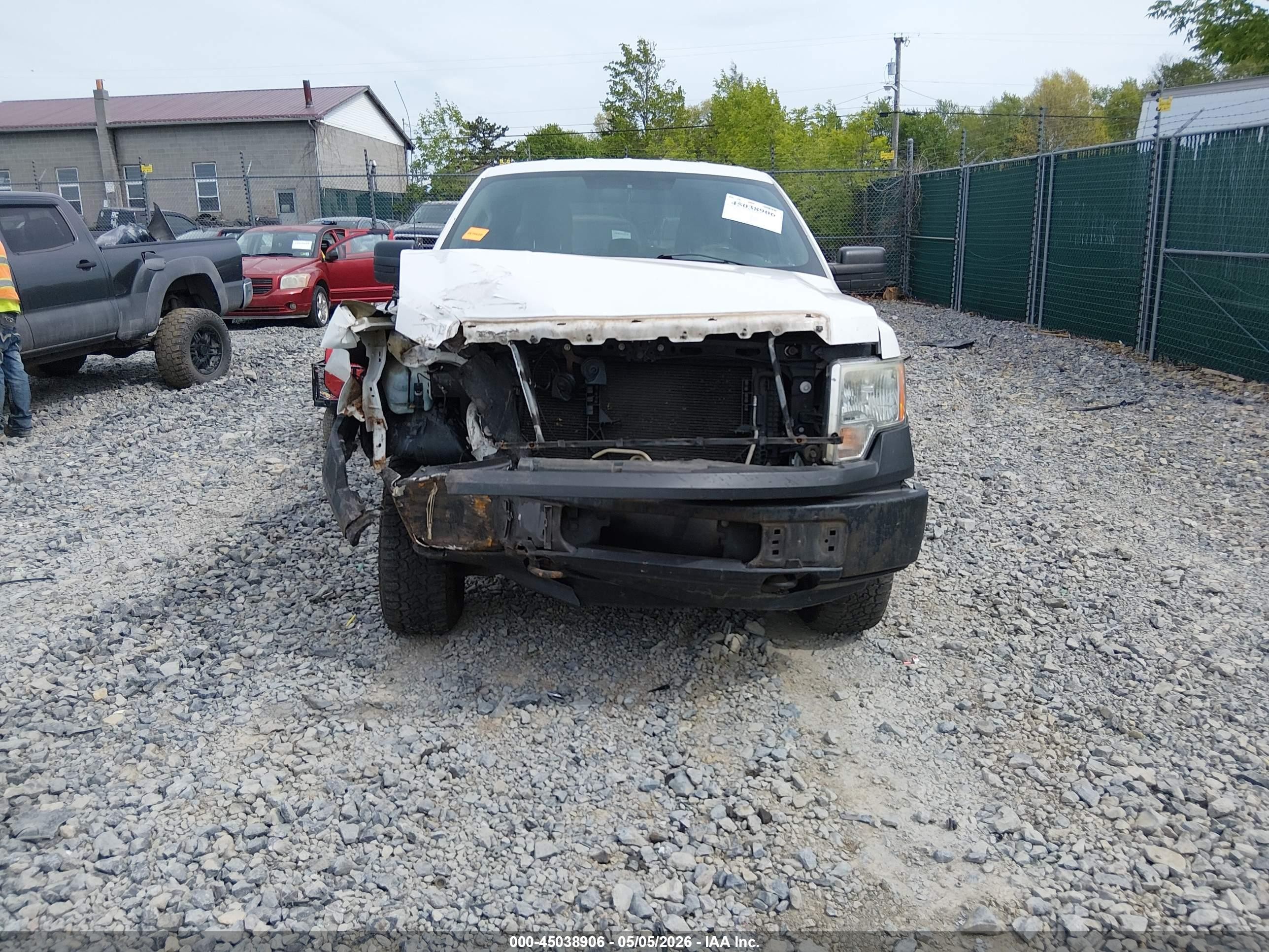 2013 Ford F-150 Xl White vin: 1FTFX1EFXDKF24761