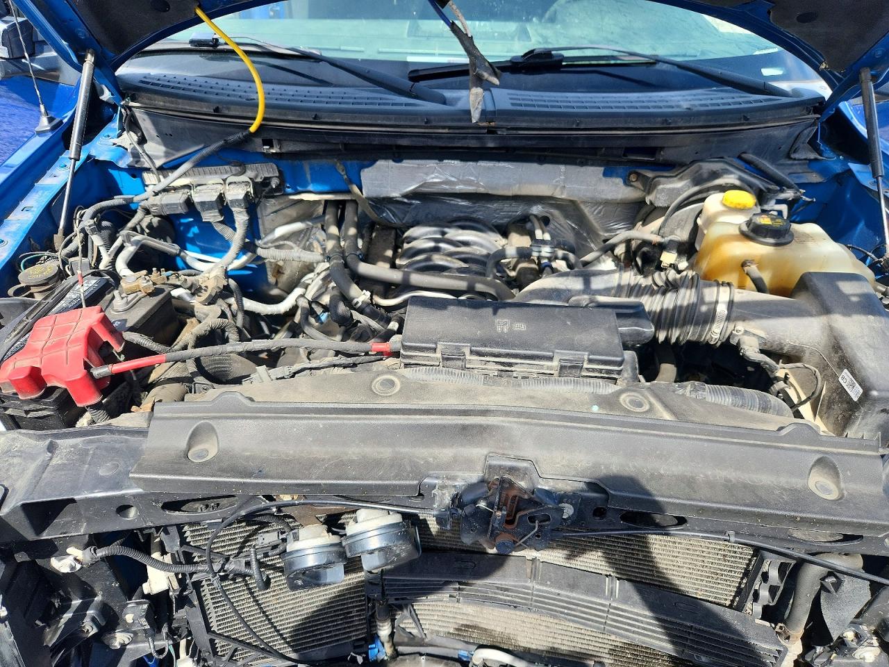 2014 Ford F150 Blue vin: 1FTFX1EFXEFA83272