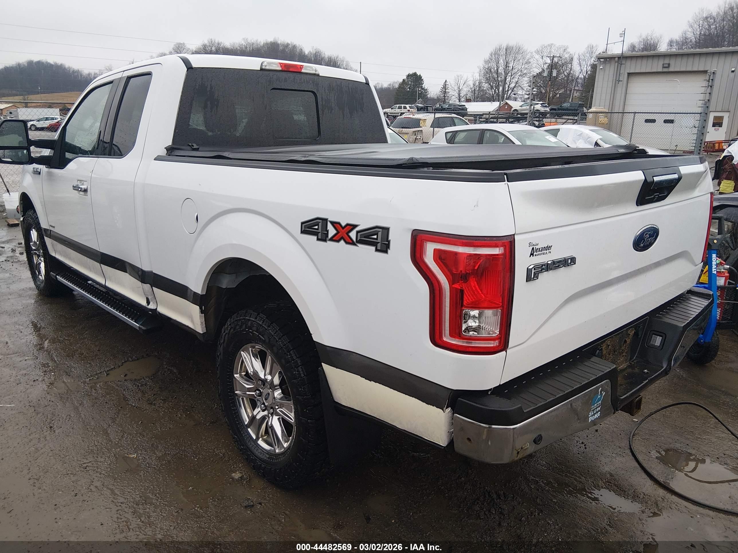 2015 Ford F-150 Xlt White vin: 1FTFX1EG6FKF13901