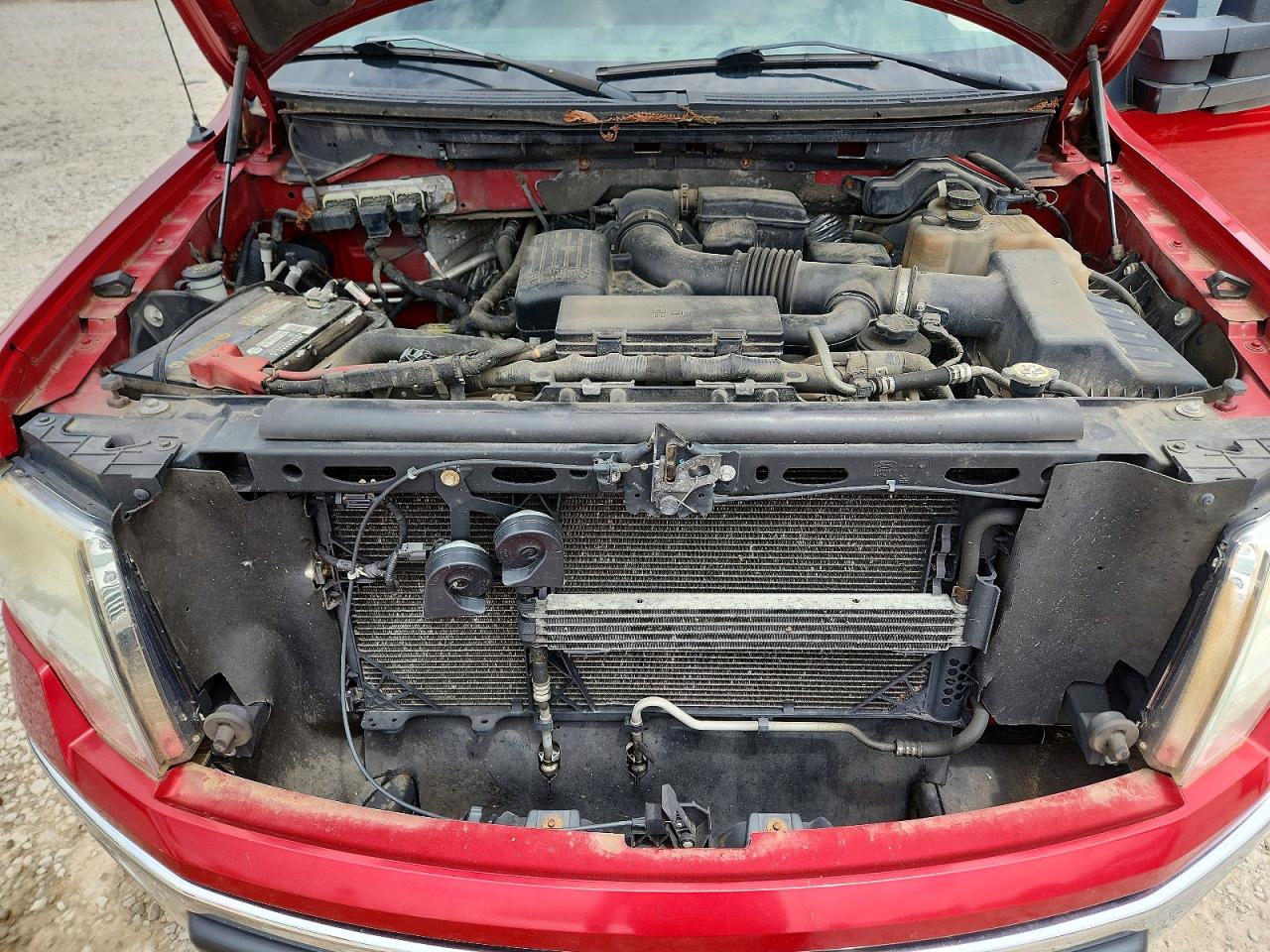 2010 Ford F150 Red vin: 1FTFX1EV4AFA17284