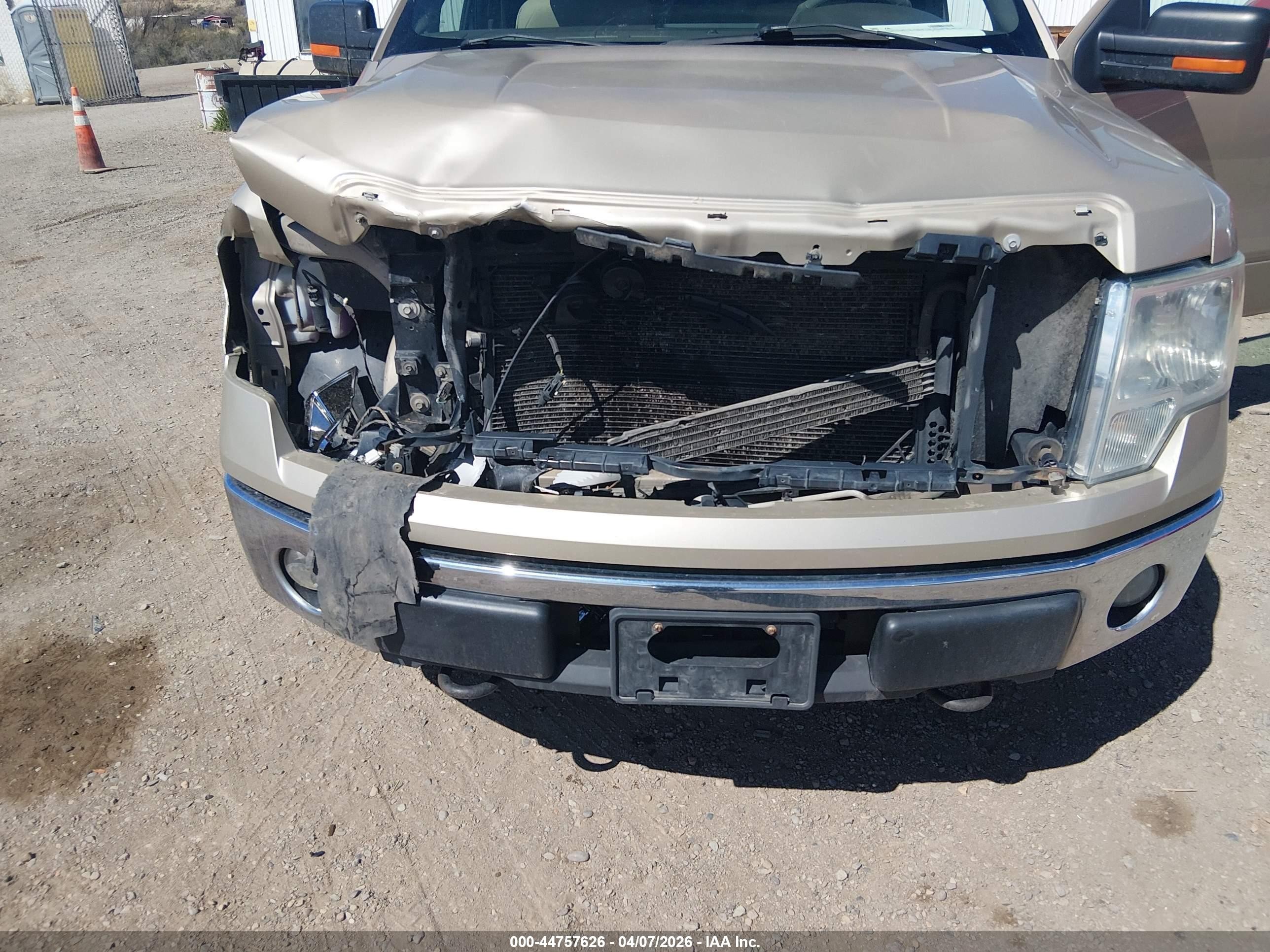 2010 Ford F-150 Fx4/lariat/xl/xlt Gold vin: 1FTFX1EV9AKC00817