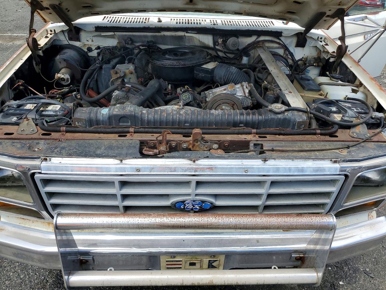 1983 Ford F250 White vin: 1FTHF2517DNA20205