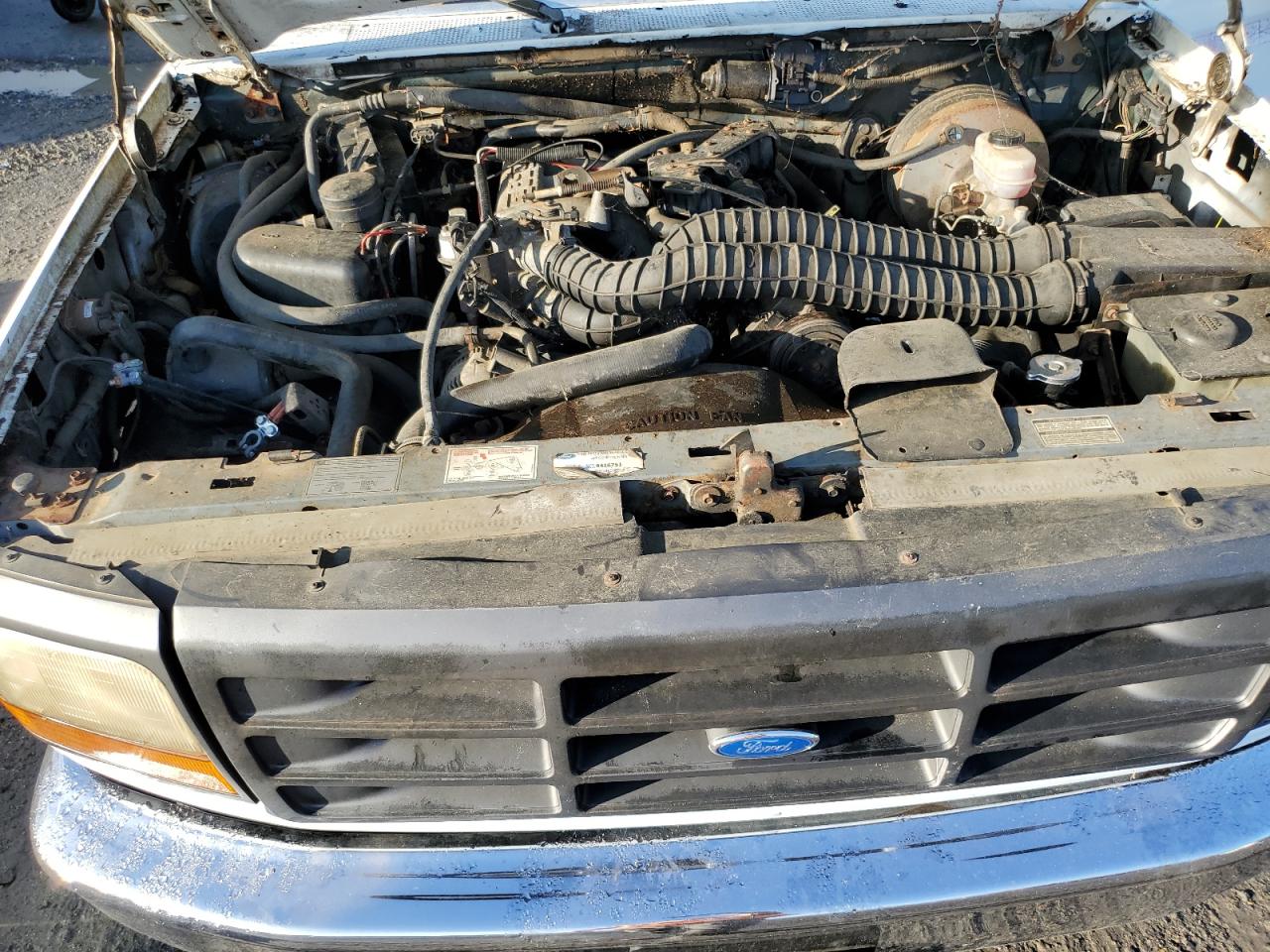 1993 Ford F250 Cream vin: 1FTHF26H2PLA55665