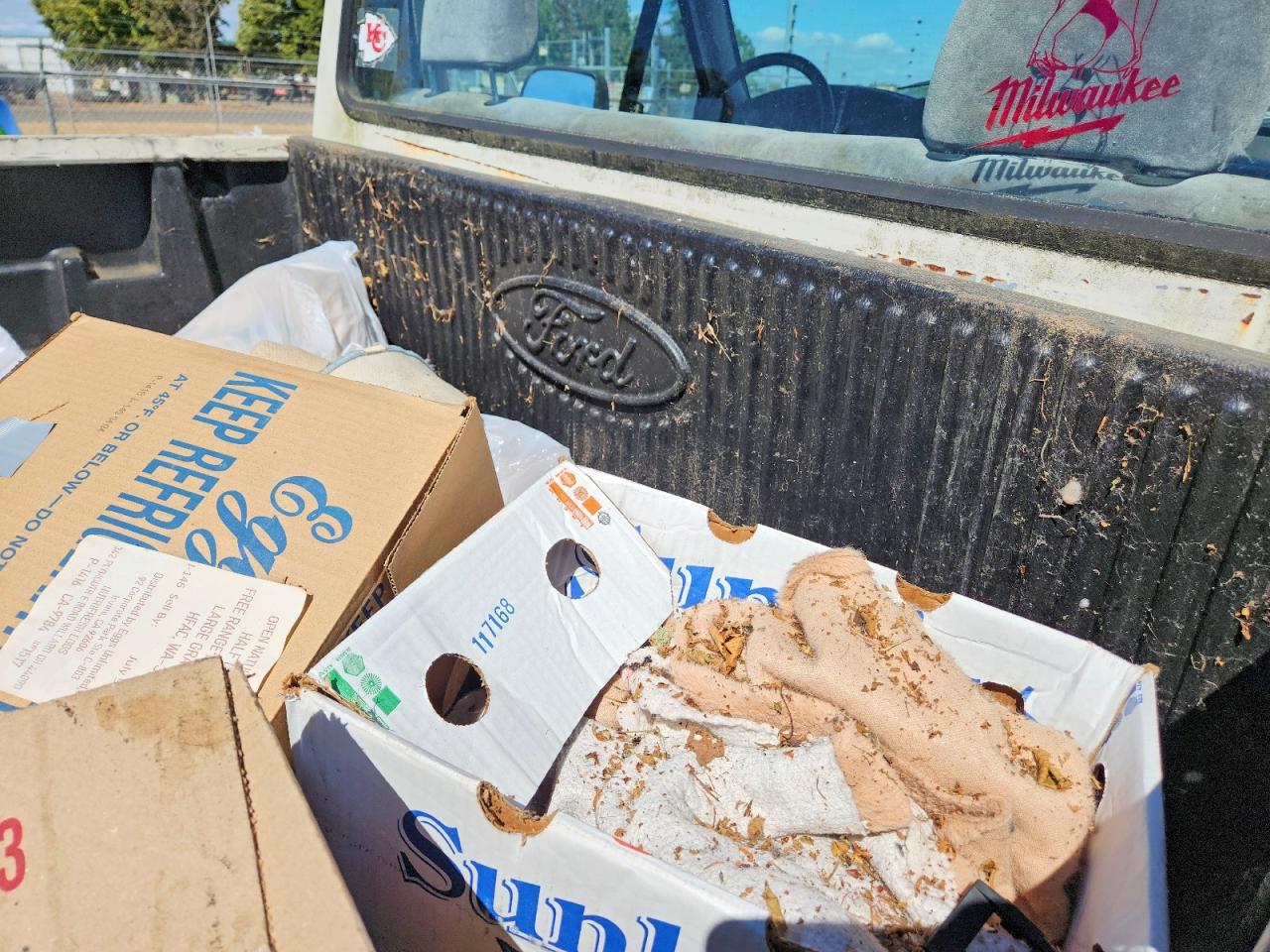 1994 Ford F250 White vin: 1FTHF26H9RLA47243