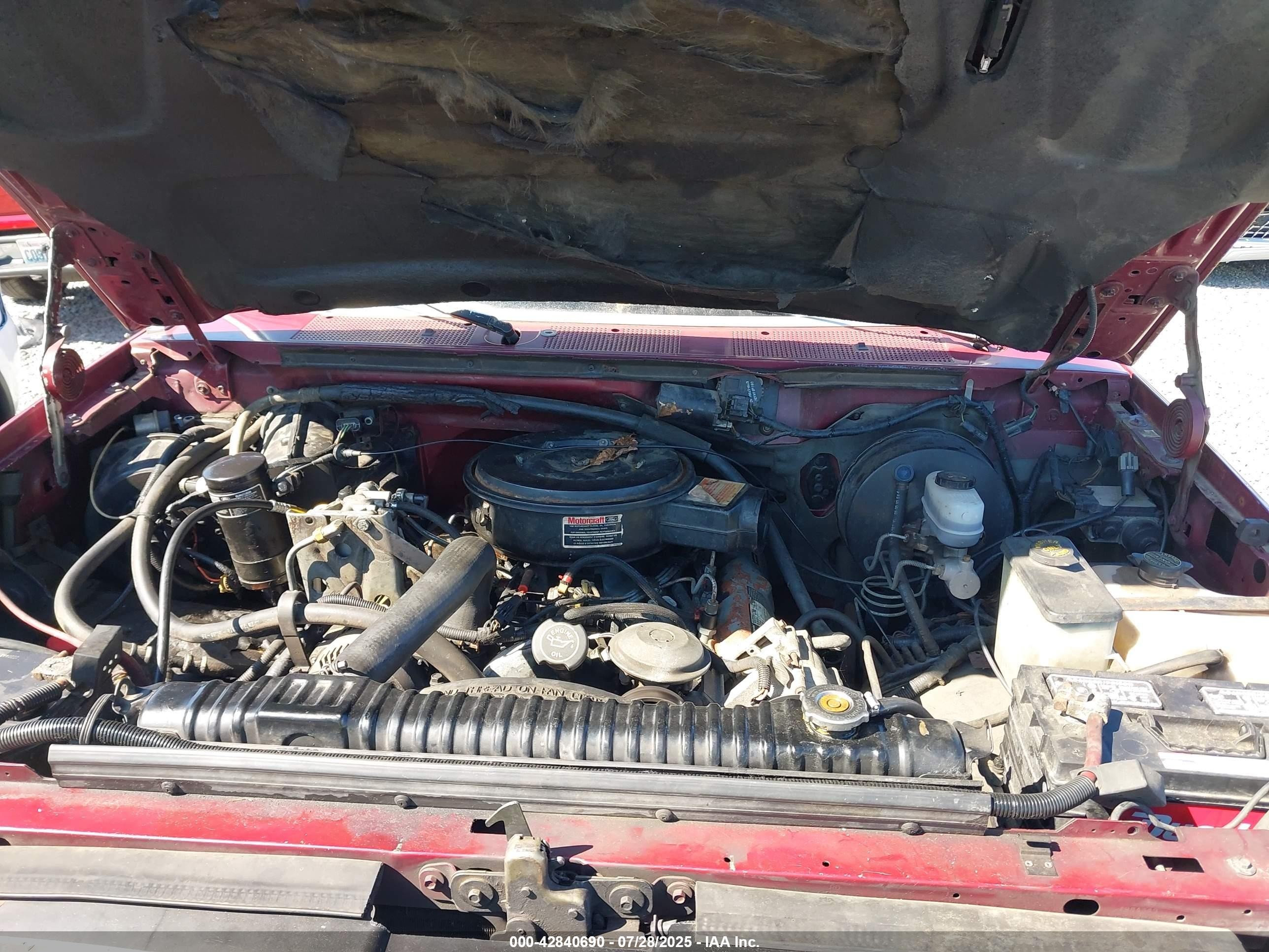 1993 Ford F250   Red vin: 1FTHX25M6PKA24095