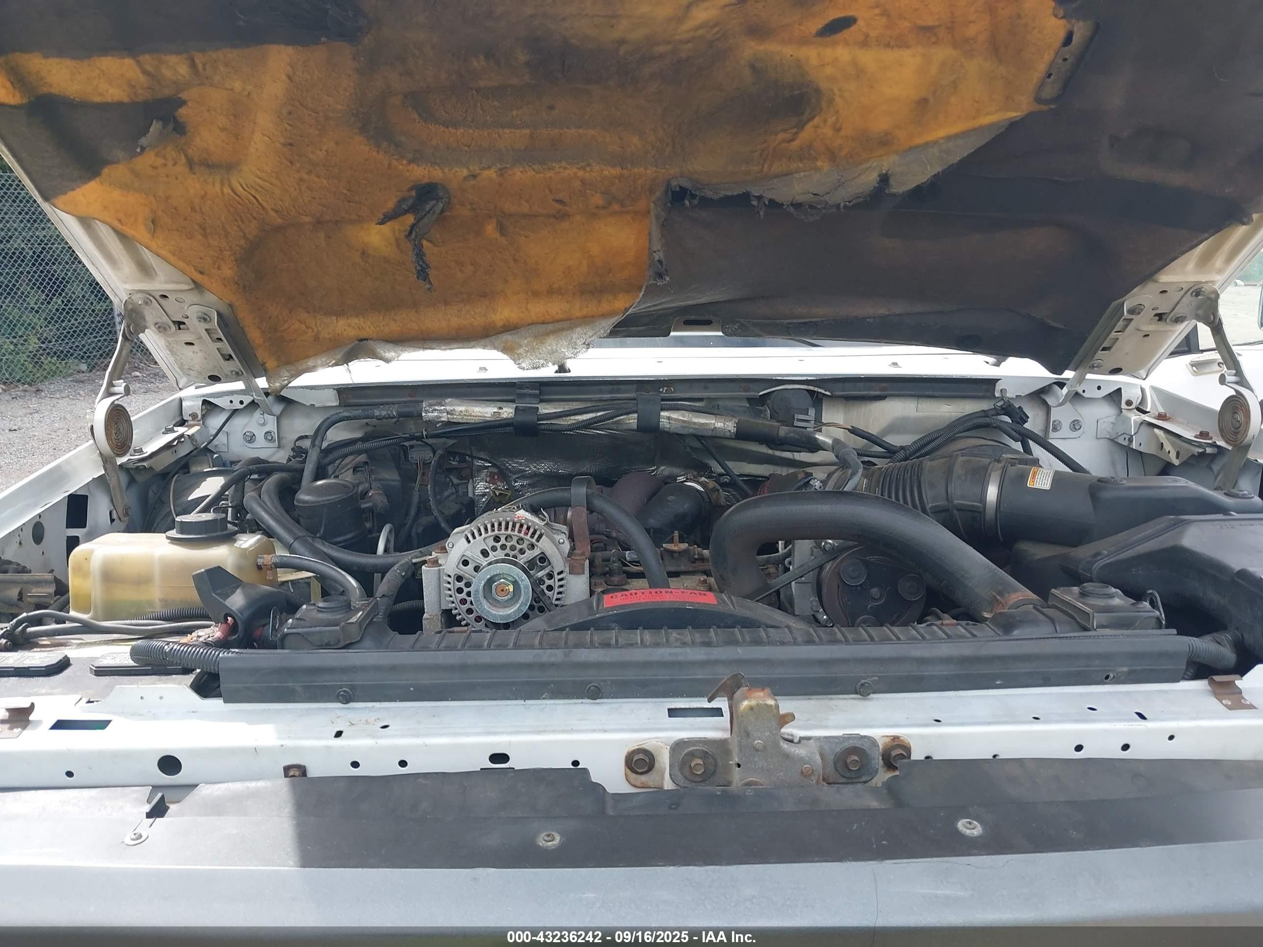 1996 Ford F250   White vin: 1FTHX26F1TEB38157