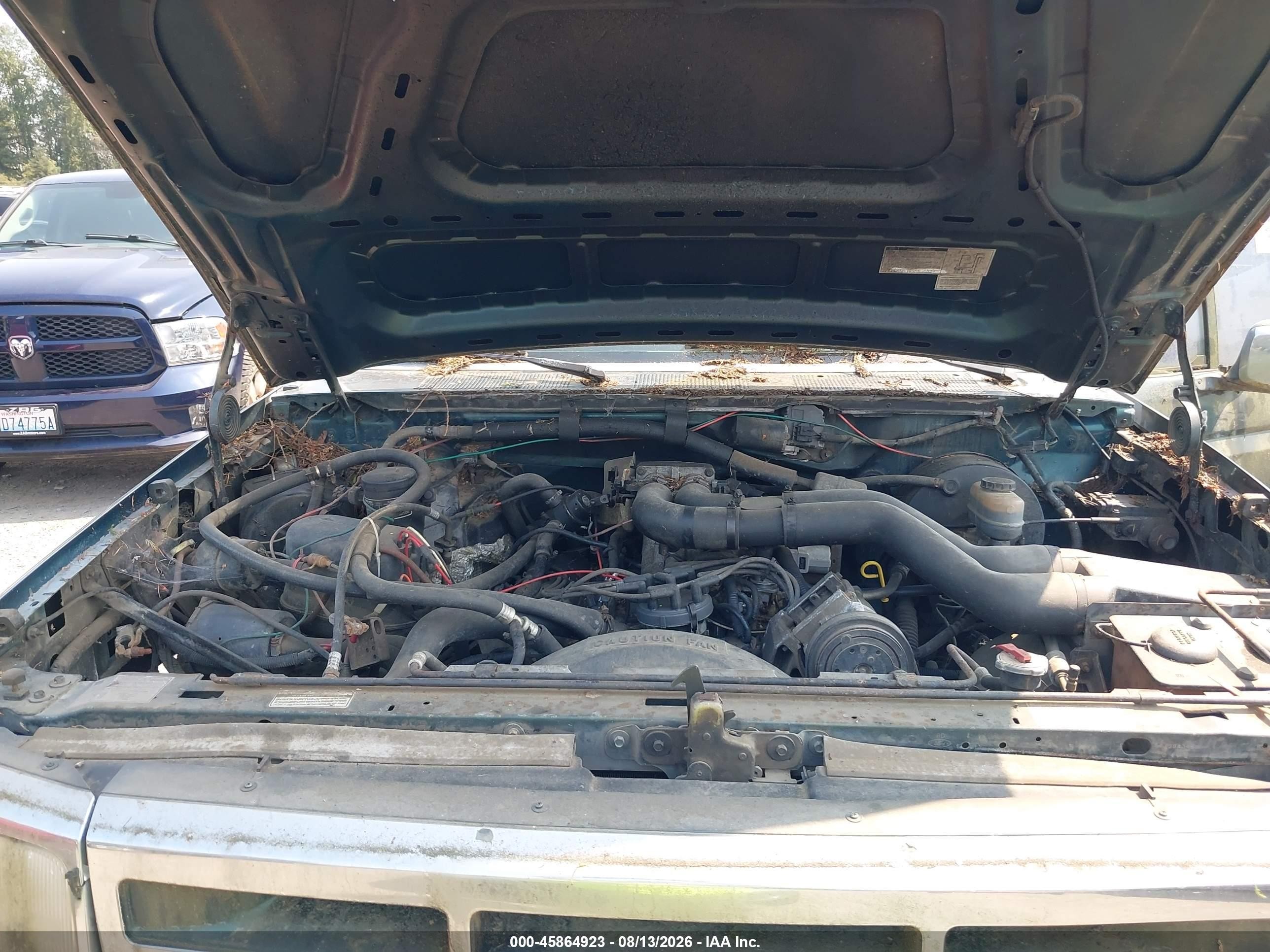 1993 Ford F250   Зеленый vin: 1FTHX26G0PKB77953