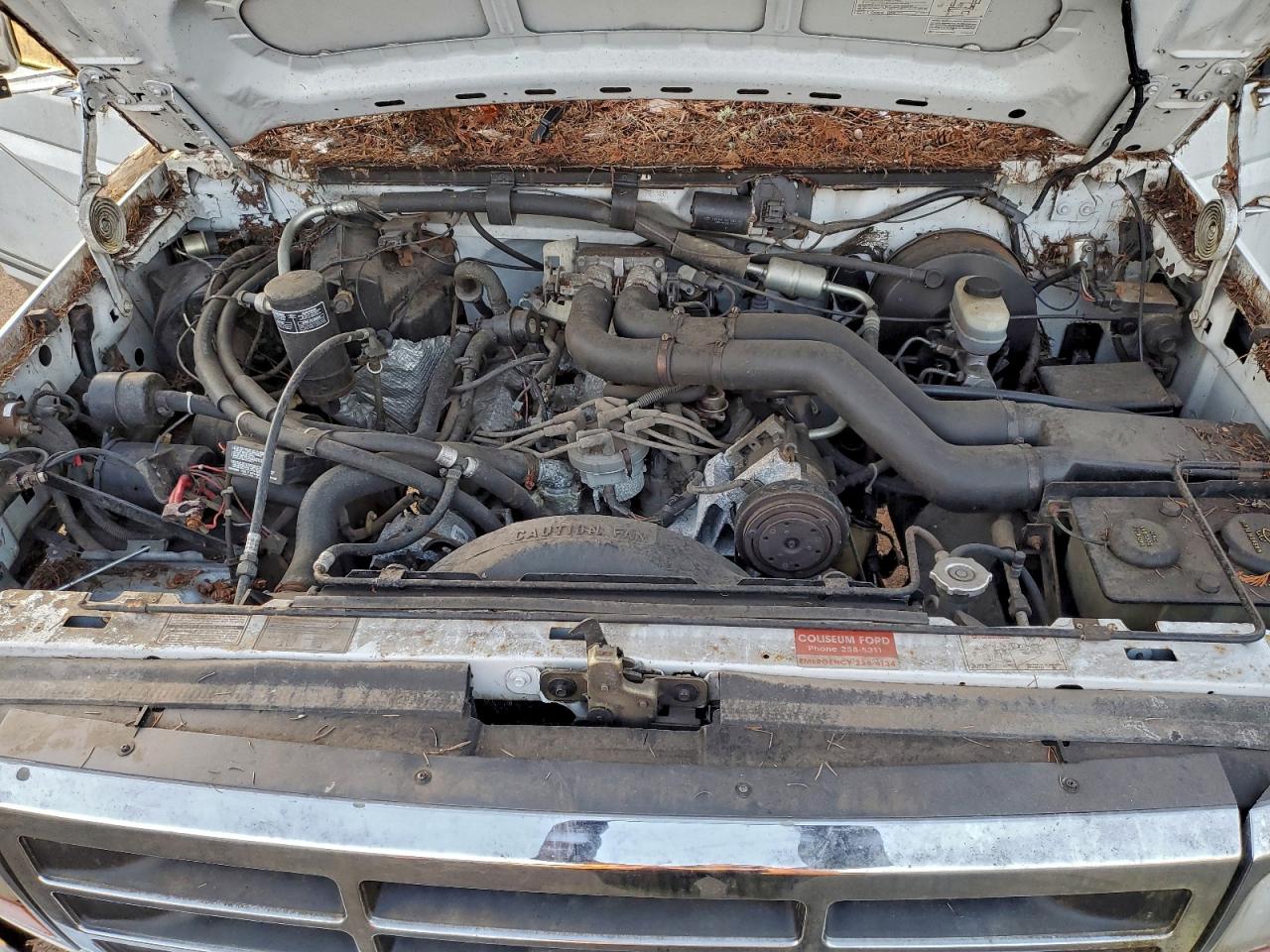 1993 Ford F250 Белый vin: 1FTHX26G5PKA75984