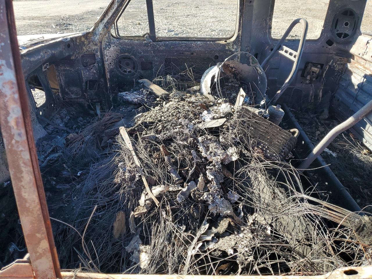 1996 Ford F250 Super Duty Пожар vin: 1FTHX26G9TEA45170