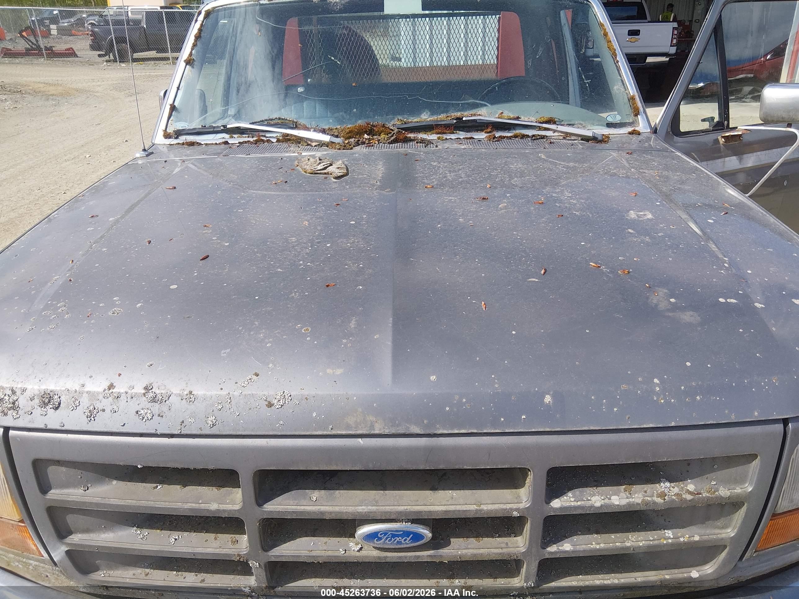1994 Ford F250   Gray vin: 1FTHX26H1RKA90607