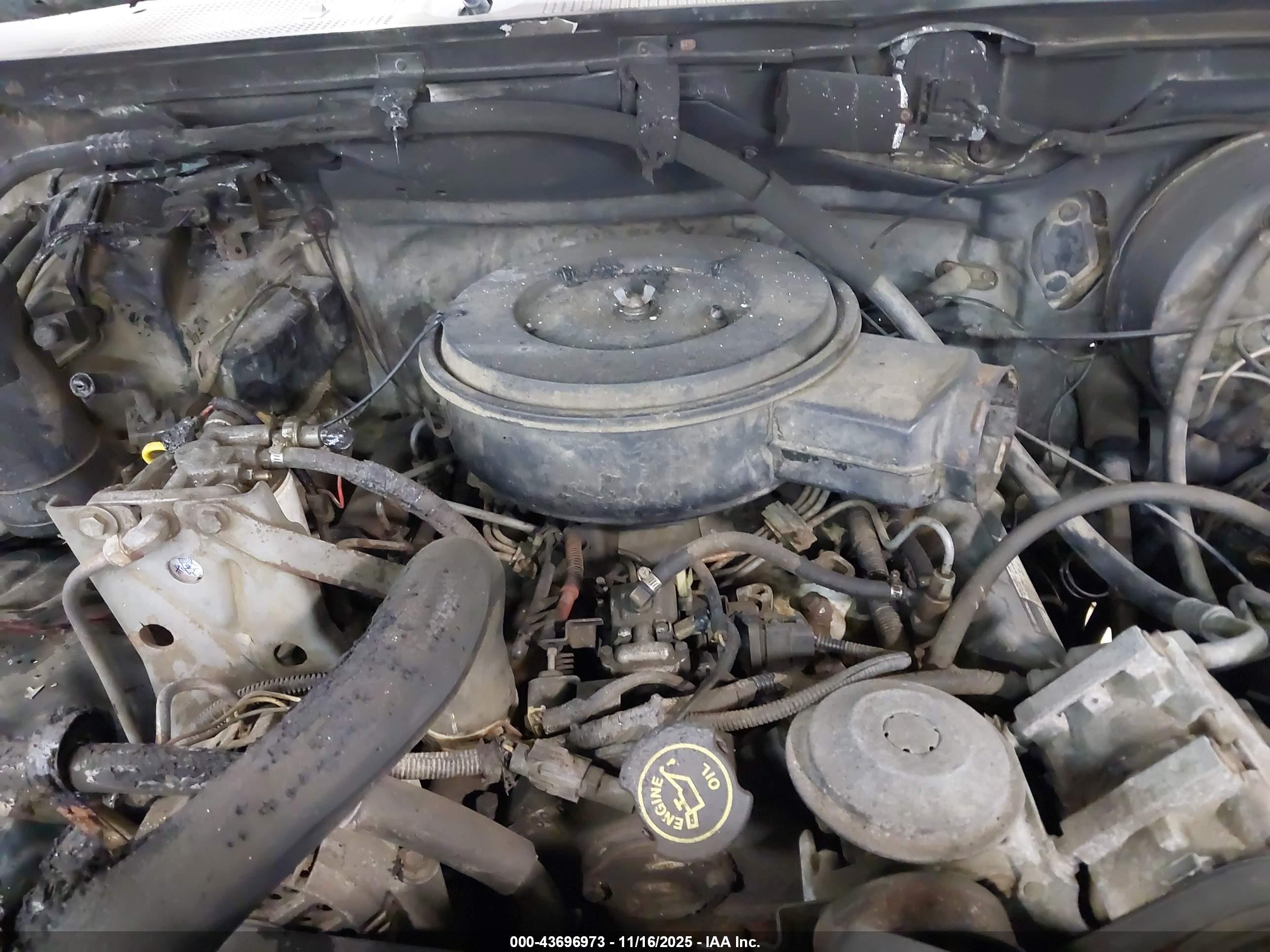 1993 Ford F250   Gray vin: 1FTHX26M5PKA65476