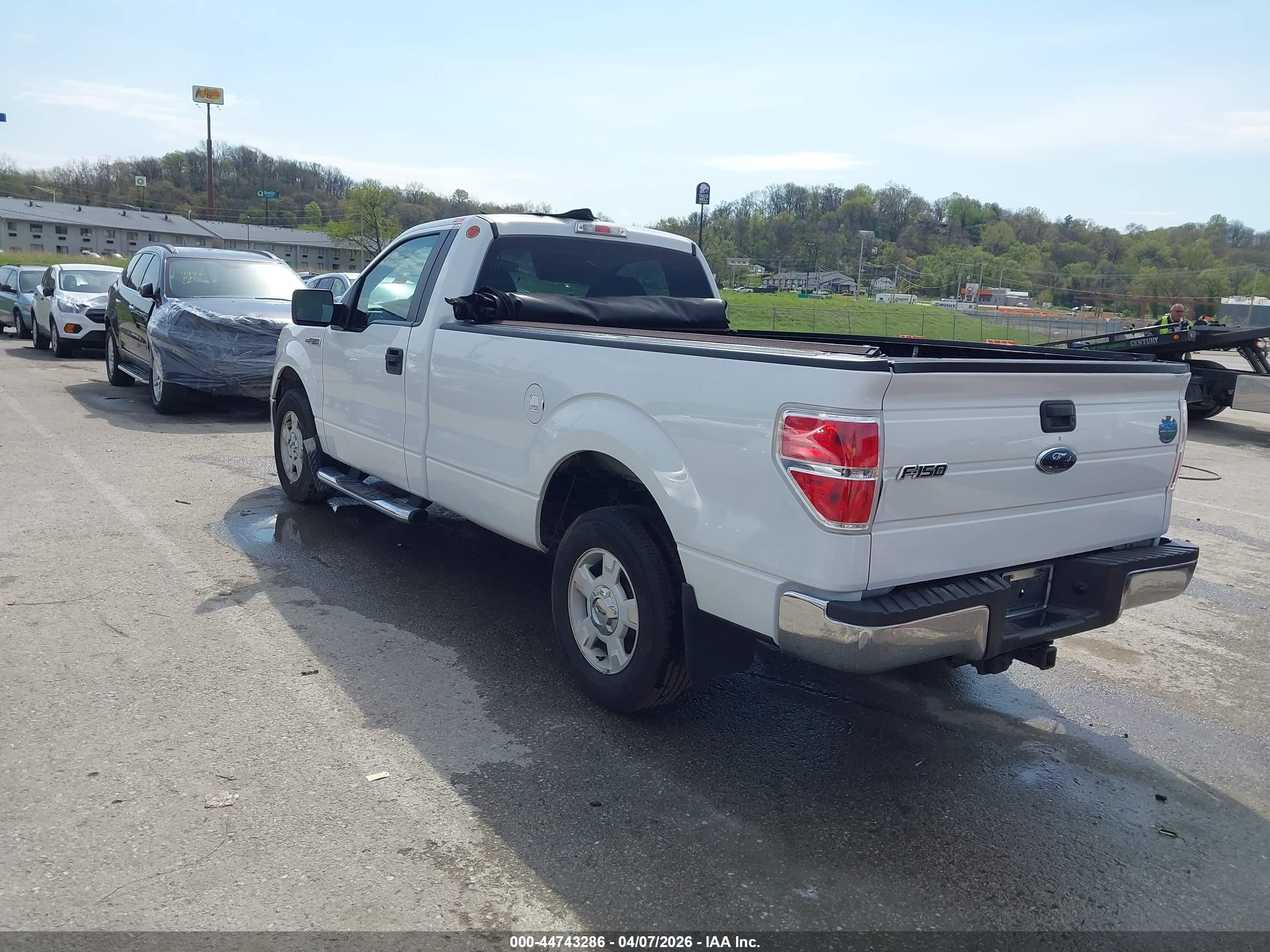 2010 Ford F-150 Xl/xlt White vin: 1FTMF1C82AKB33274