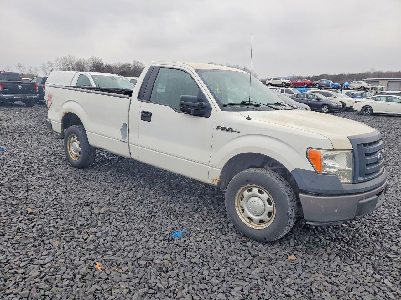 2011 Ford F150 Белый vin: 1FTMF1CM0BKE10261