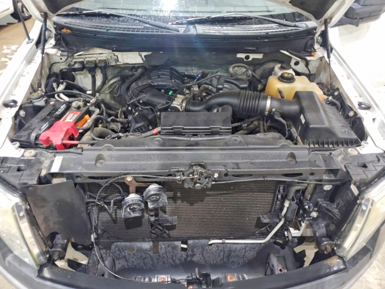 2013 Ford F150 White vin: 1FTMF1CM0DKE57924