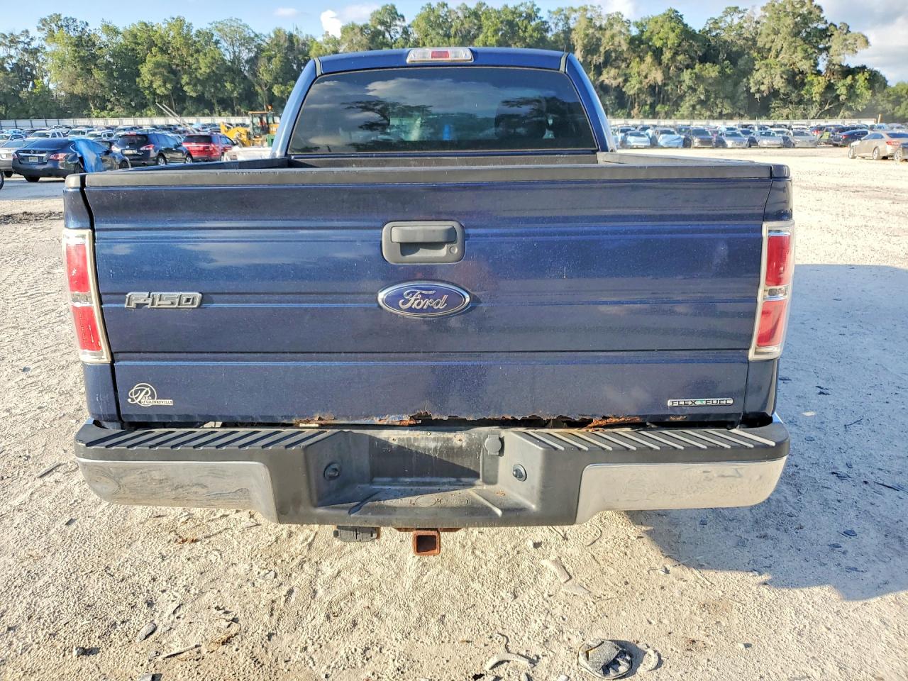 2013 Ford F150 Xl Blue vin: 1FTMF1CM1DFC79899