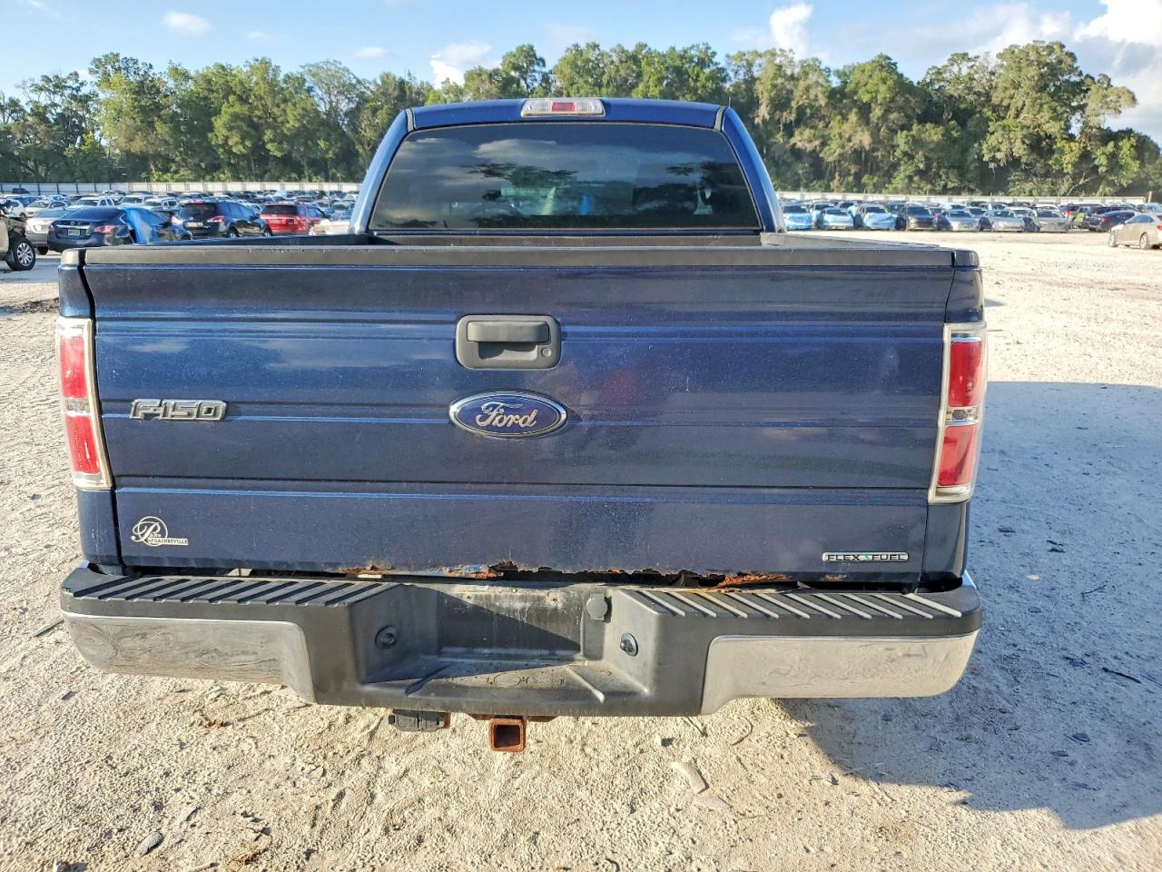 2013 Ford F150 Xl Blue vin: 1FTMF1CM1DFC79899