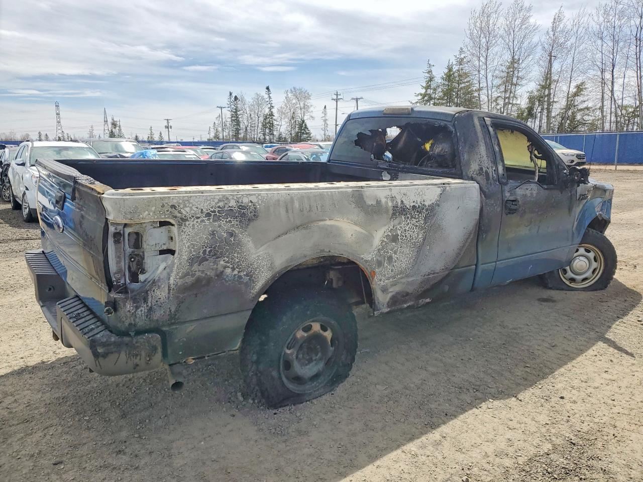 2013 Ford F150 Blue vin: 1FTMF1CM1DKF62018