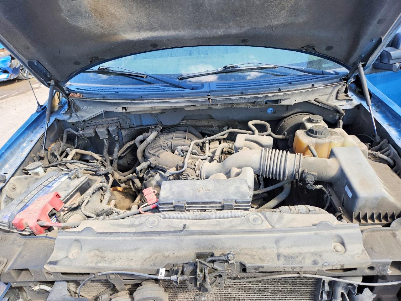 2013 Ford F150 Blue vin: 1FTMF1CM1DKF62018