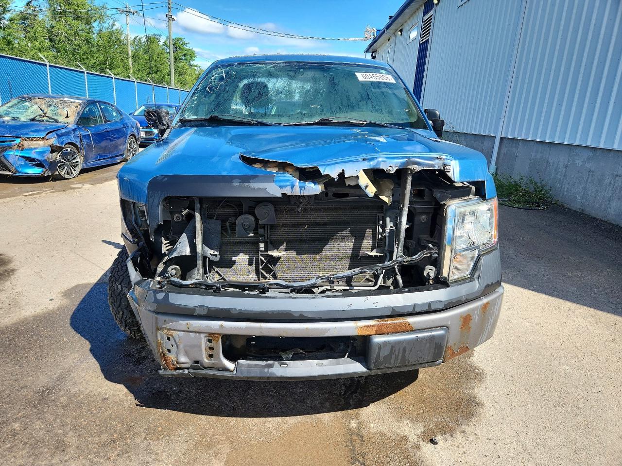 2013 Ford F150 Blue vin: 1FTMF1CM1DKF62018