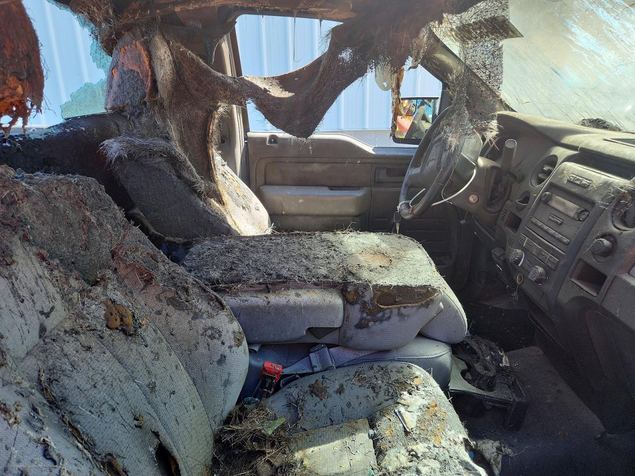 2013 Ford F150 Blue vin: 1FTMF1CM1DKF62018