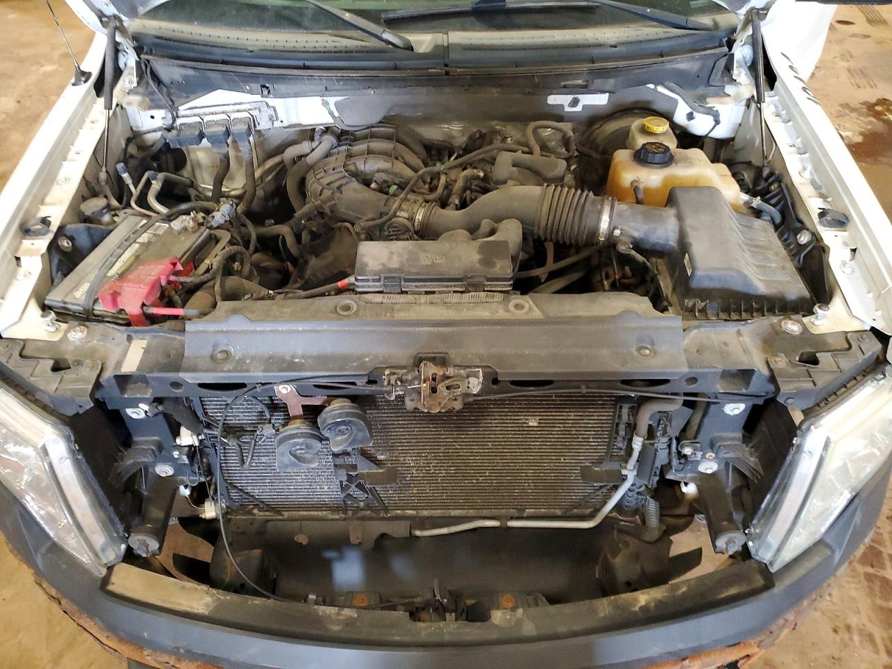 2014 Ford F150 Белый vin: 1FTMF1CM1EKD82796