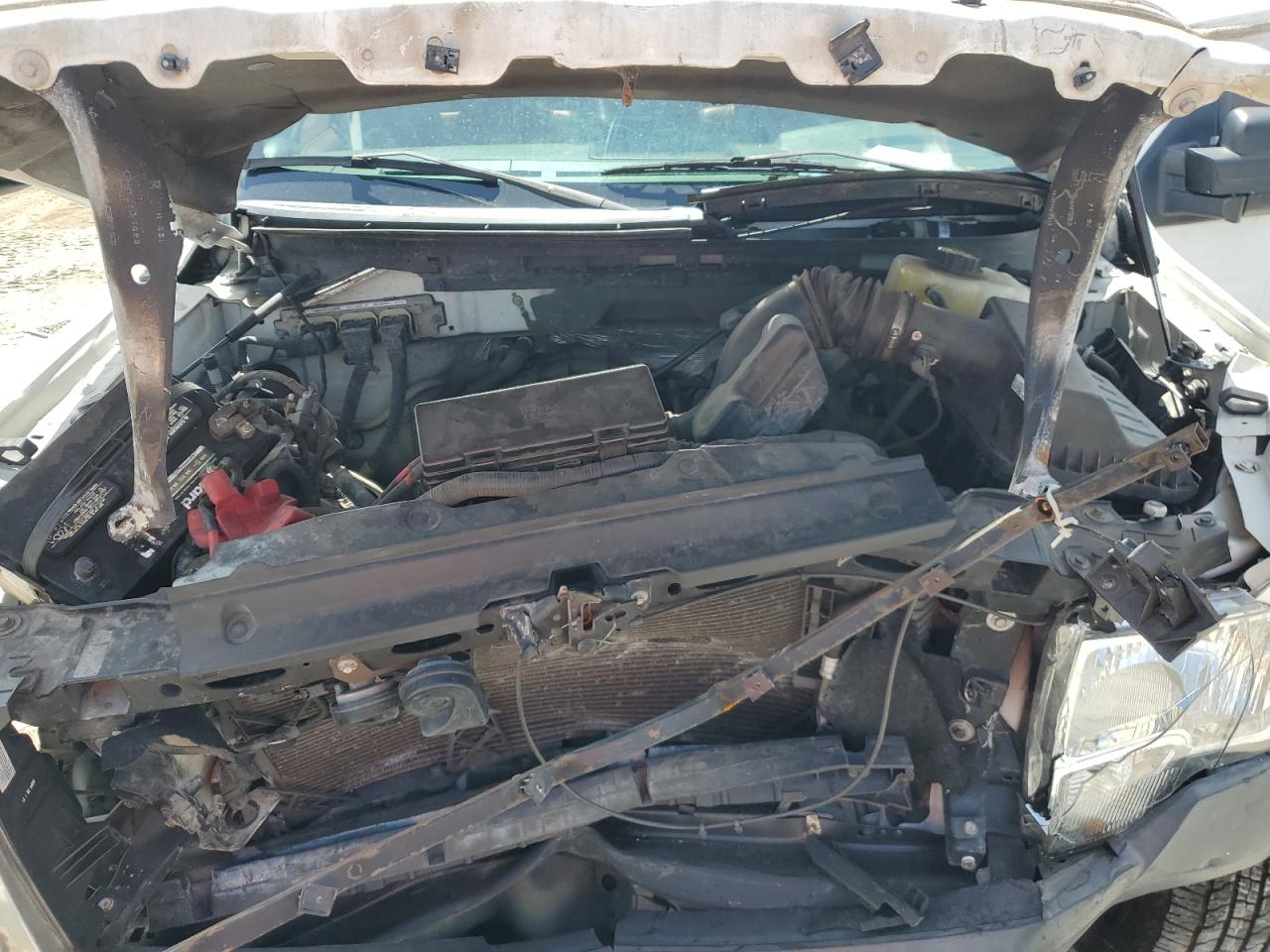 2014 Ford F150 Белый vin: 1FTMF1CM1EKF39582