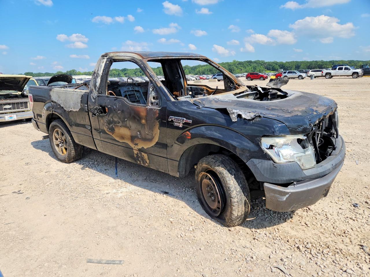 2011 Ford F150 Burn vin: 1FTMF1CM3BFB98562
