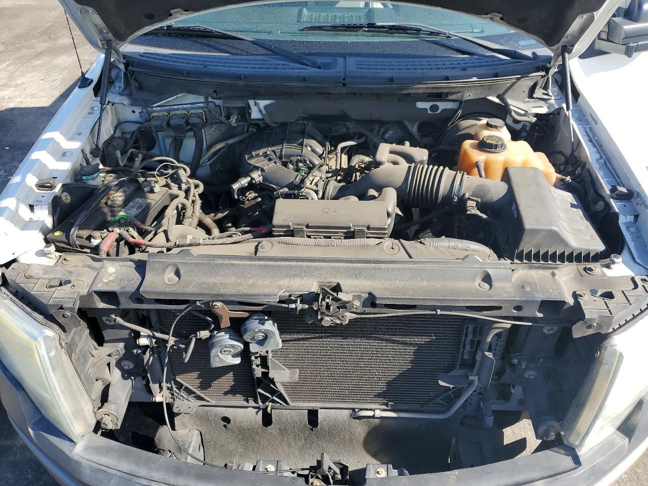 2012 Ford F150 Белый vin: 1FTMF1CM5CKD66002