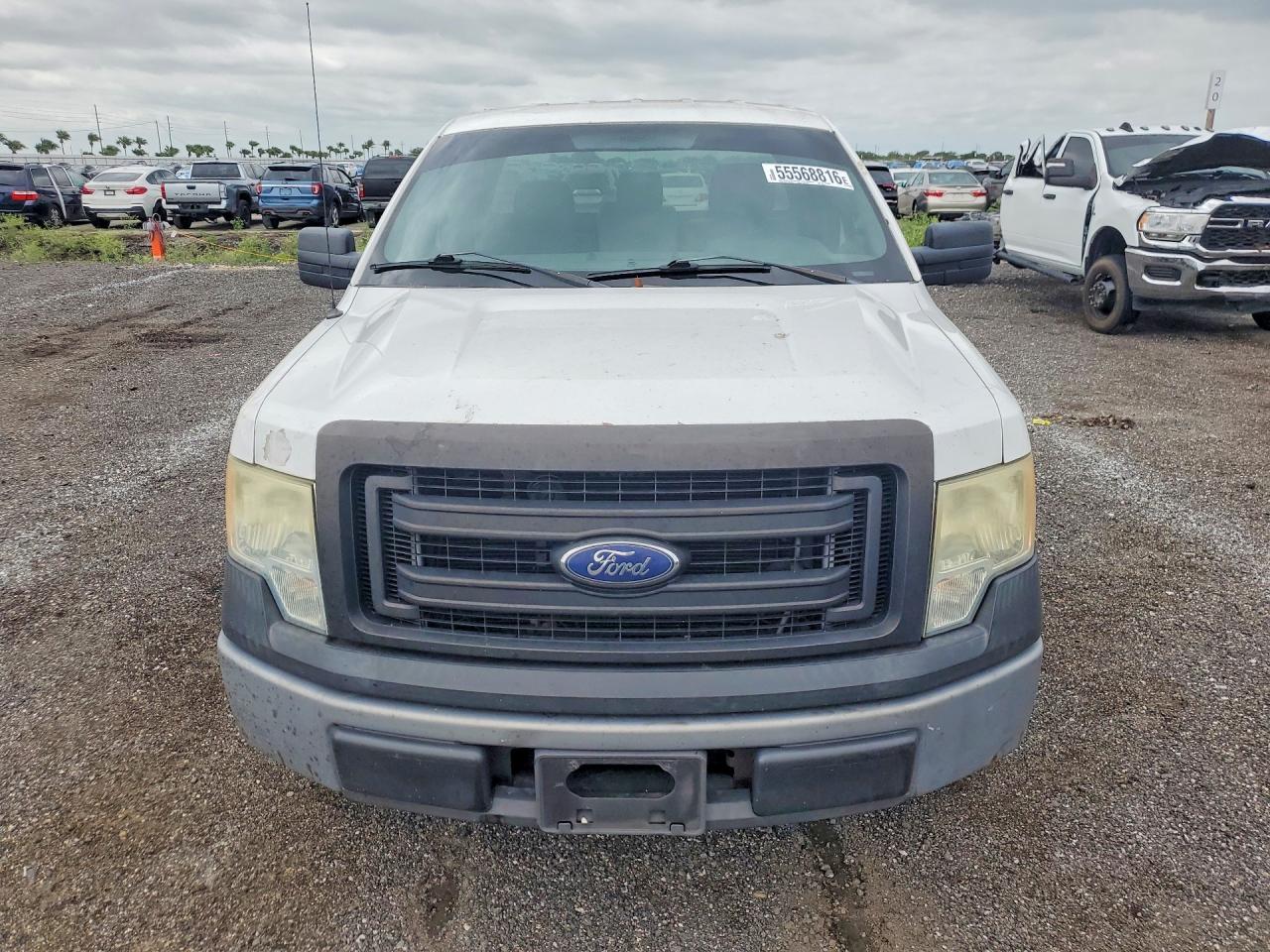 2013 Ford F150 White vin: 1FTMF1CM6DKE43252