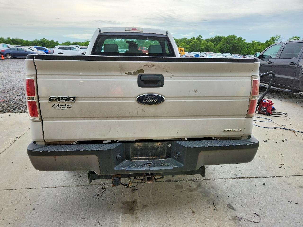 2013 Ford F150 Белый vin: 1FTMF1CM7DKG48840
