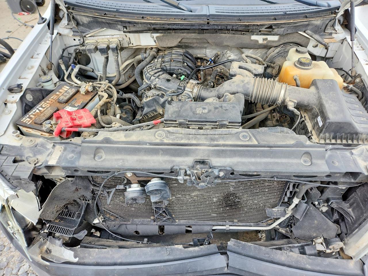 2013 Ford F150 Белый vin: 1FTMF1CM7DKG48840