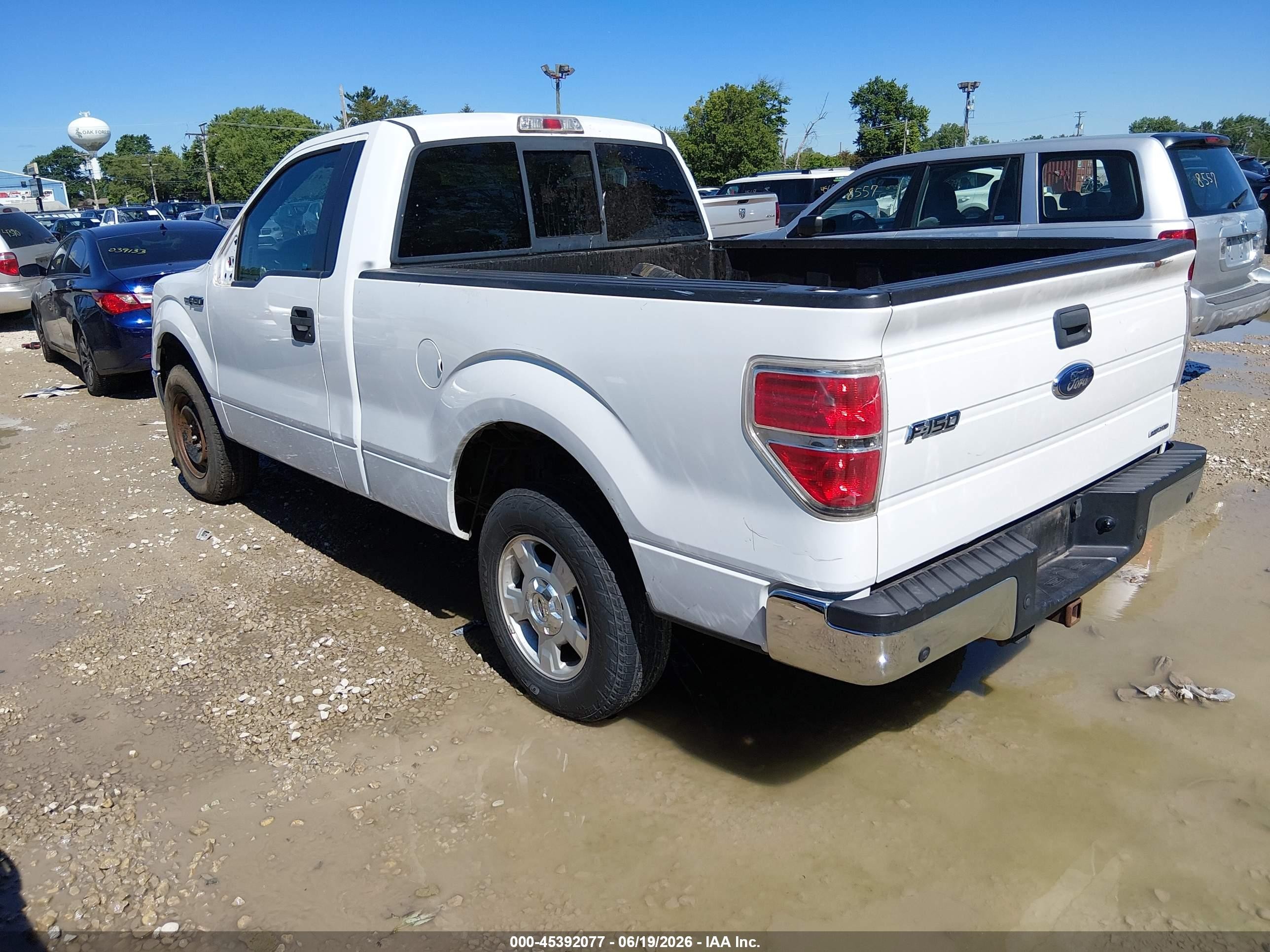 2011 Ford F-150 Xlt White vin: 1FTMF1CM8BKD05516
