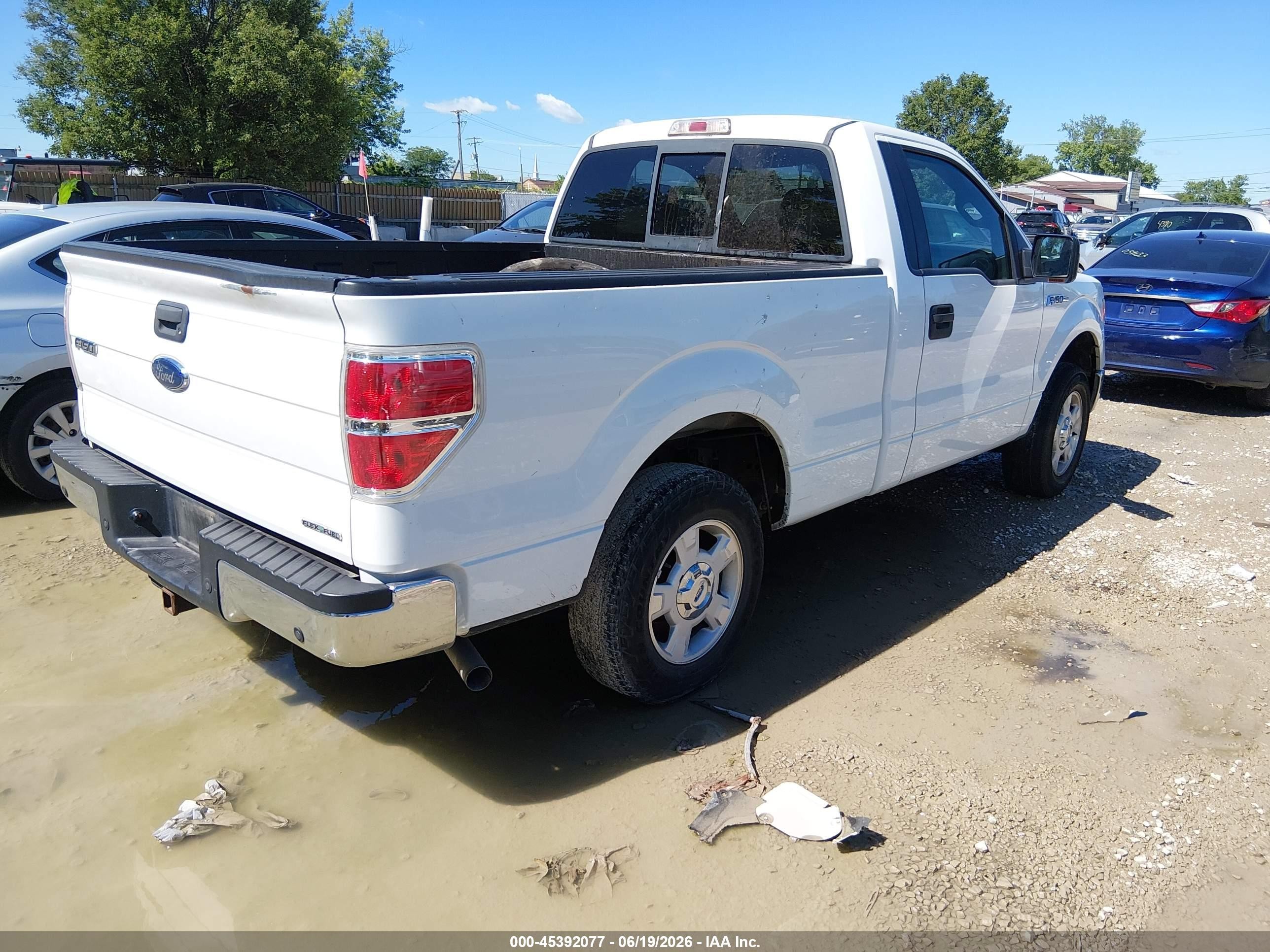 2011 Ford F-150 Xlt White vin: 1FTMF1CM8BKD05516