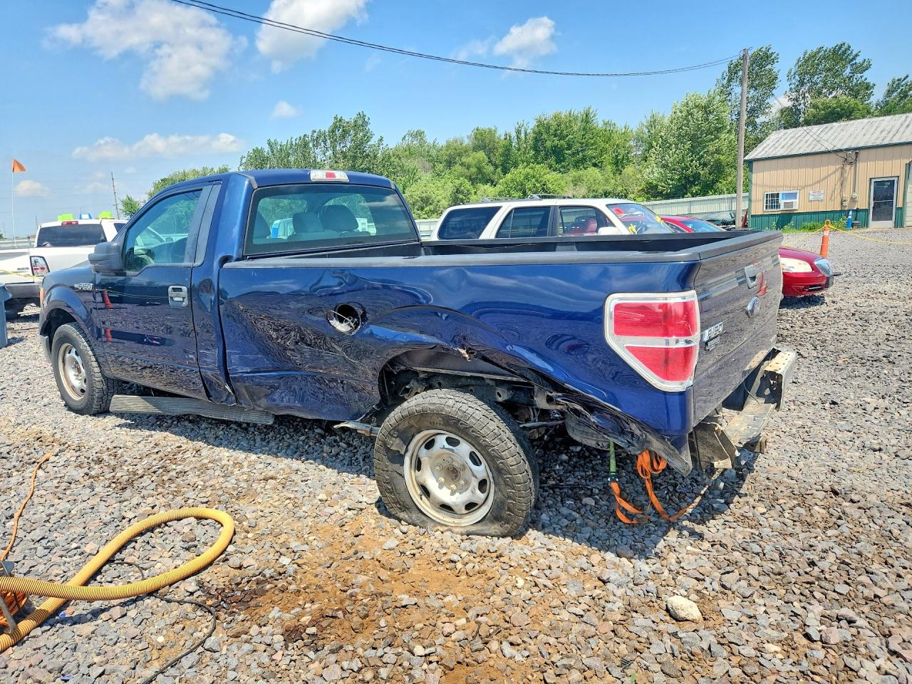 2013 Ford F150 Blue vin: 1FTMF1CM9DKE33976