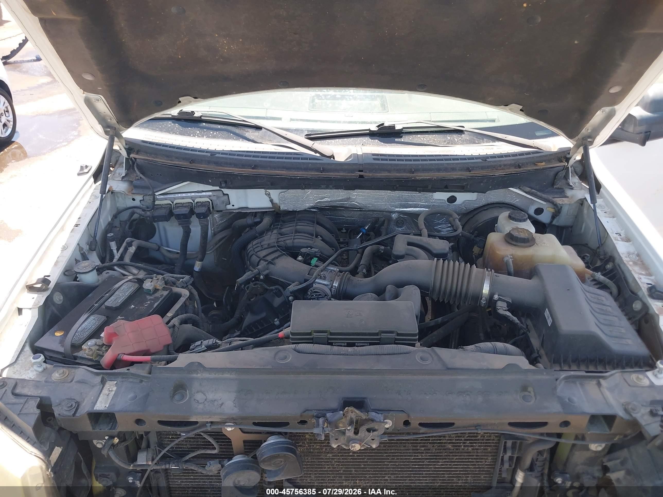 2013 Ford F-150 Stx/xl/xlt Белый vin: 1FTMF1CM9DKE67013