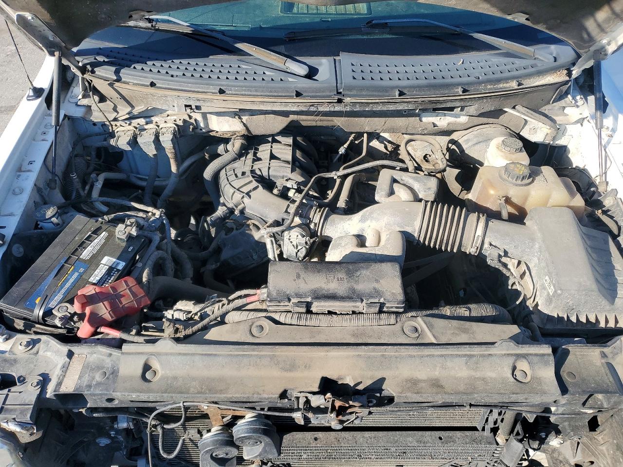 2013 Ford F150 White vin: 1FTMF1CM9DKE77427