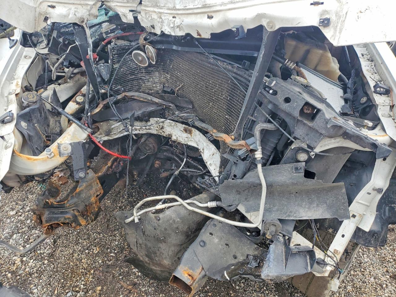 2010 Ford F150 Белый vin: 1FTMF1CW5AKA23334