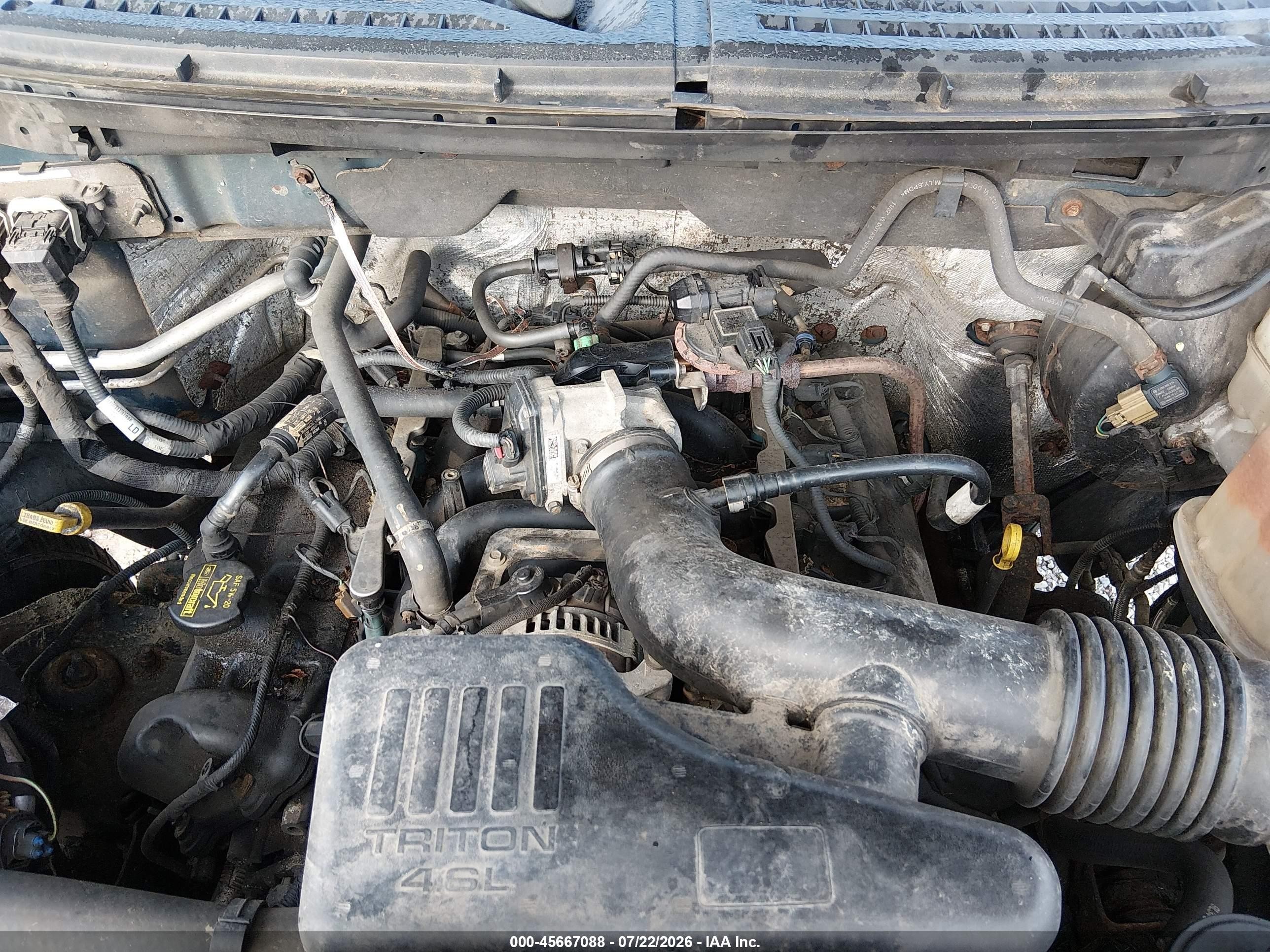 2010 Ford F-150 Stx/xl/xl W/mid-box Prep/xlt/xlt W/mid-box Prep Blue vin: 1FTMF1EW3AKE31084