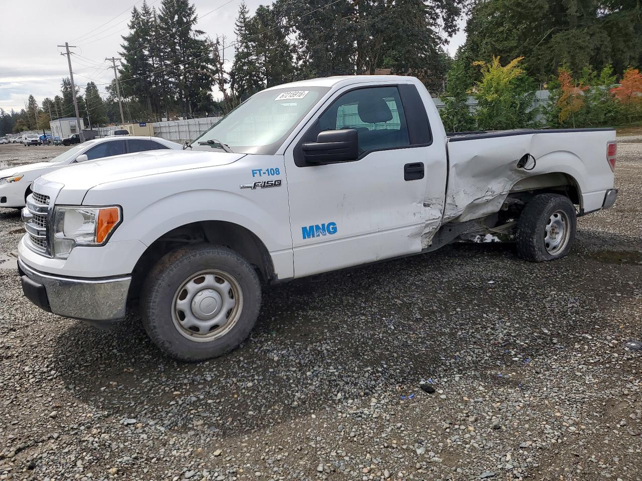 2013 Ford F150 White vin: 1FTNF1CF2DKE06995
