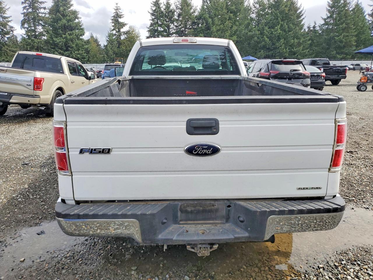 2013 Ford F150 White vin: 1FTNF1CF2DKE06995