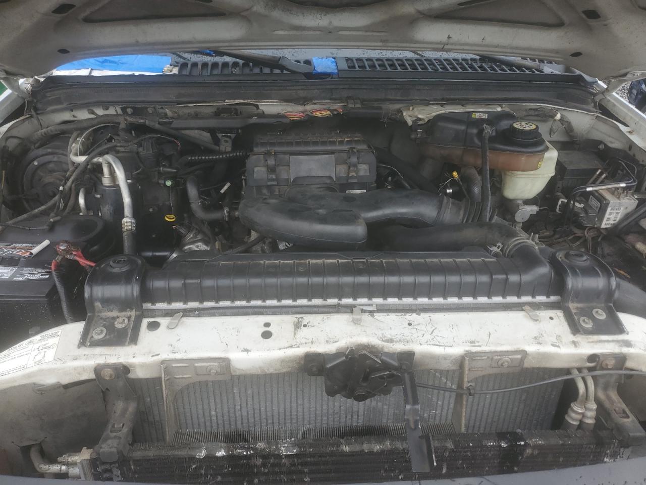 2006 Ford F250 Super Duty Белый vin: 1FTNF20546EC63616
