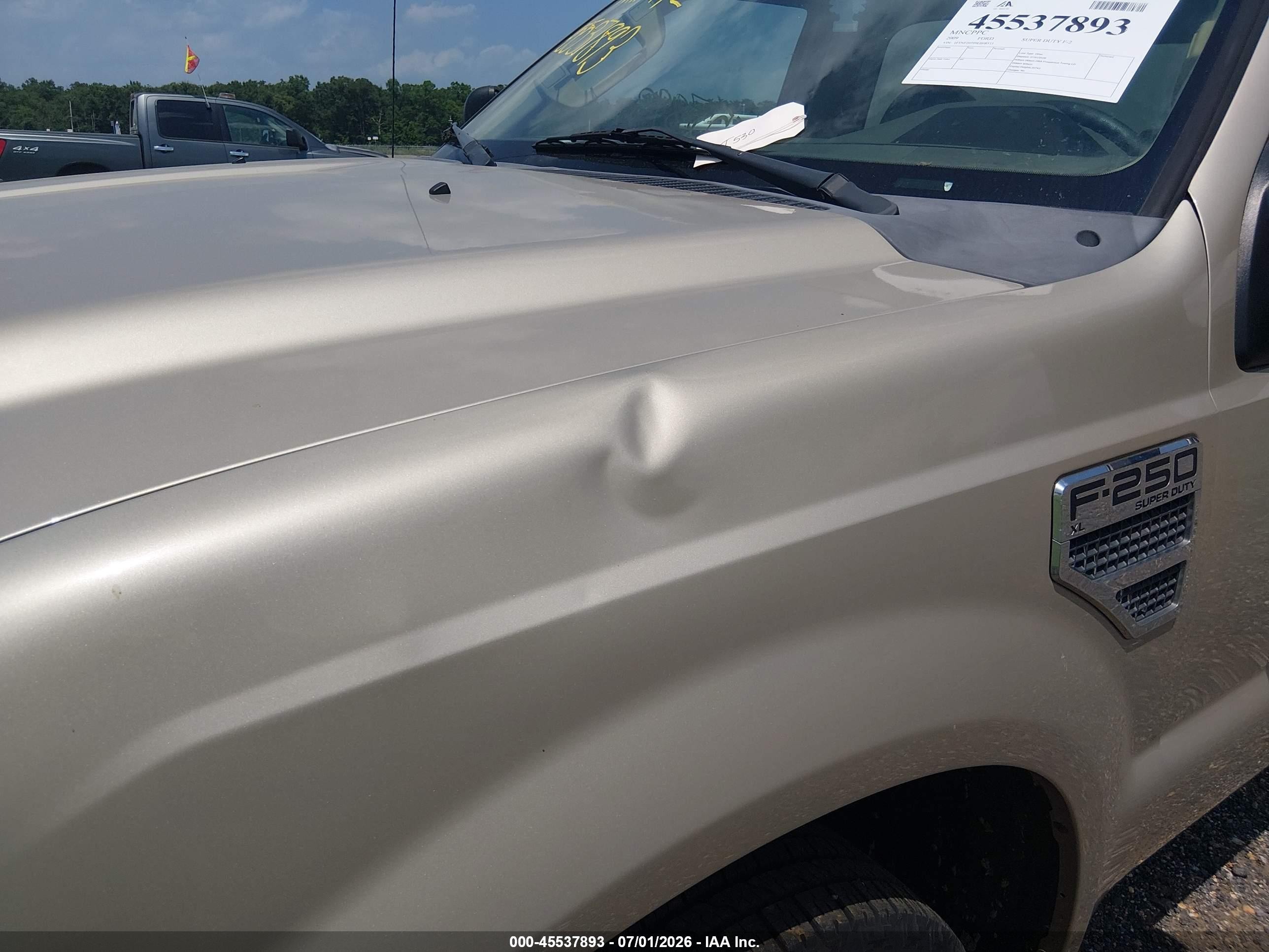 2009 Ford Super Duty F-250 Srw Xl/xlt Tan vin: 1FTNF20599EB08533