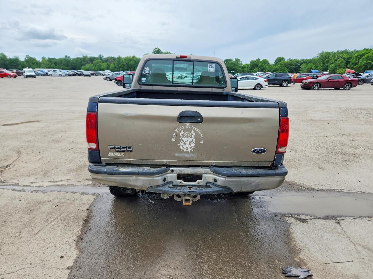 2003 Ford F250 Super Duty Beige vin: 1FTNF21P33ED18083
