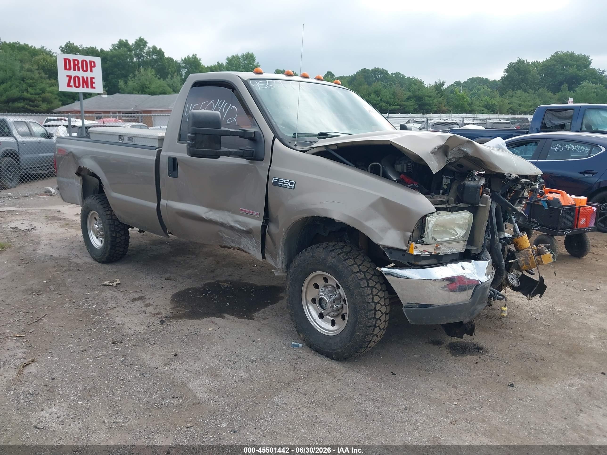 2004 Ford F-250 Xl/xlt Gold vin: 1FTNF21P84ED35754