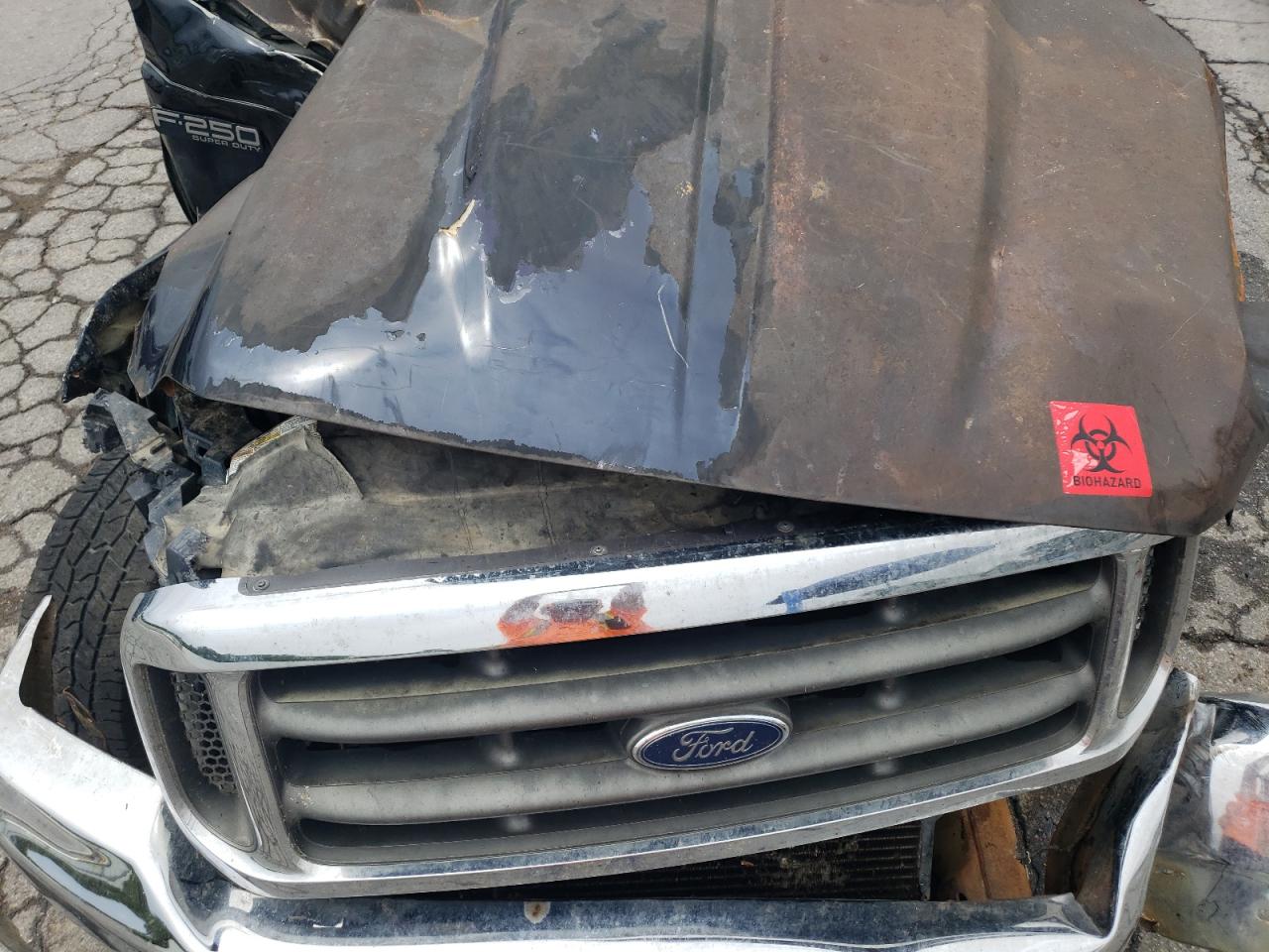 2000 Ford F250 Super Duty Blue vin: 1FTNW21F9YEE38436