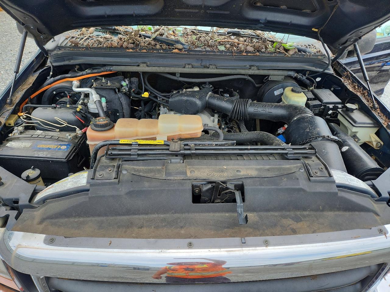 1999 Ford F250 Super Duty Black vin: 1FTNX21L3XEE96799