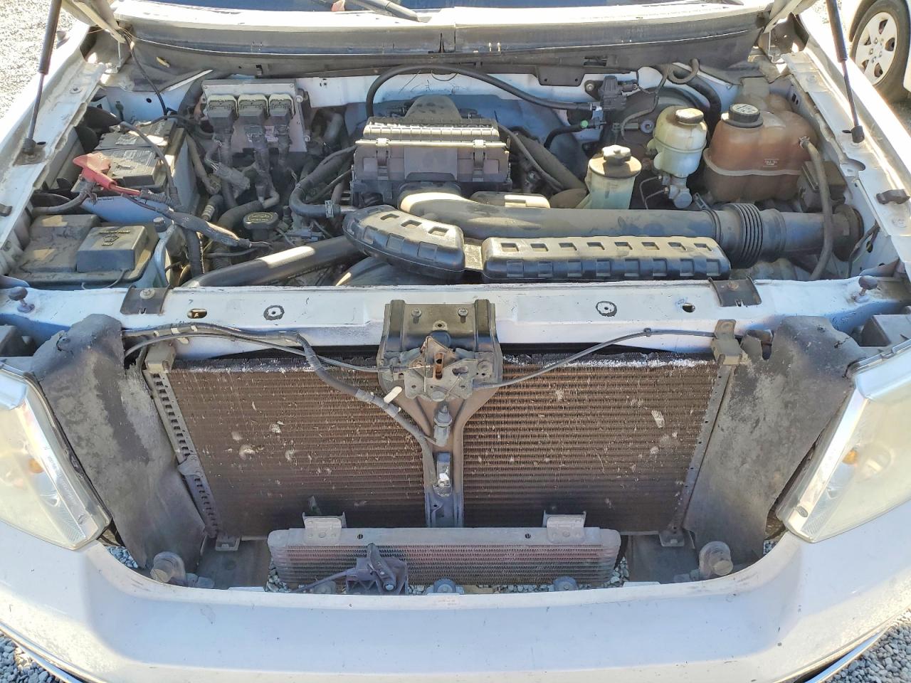 2005 Ford F150 Supercrew White vin: 1FTPW12595FA55319