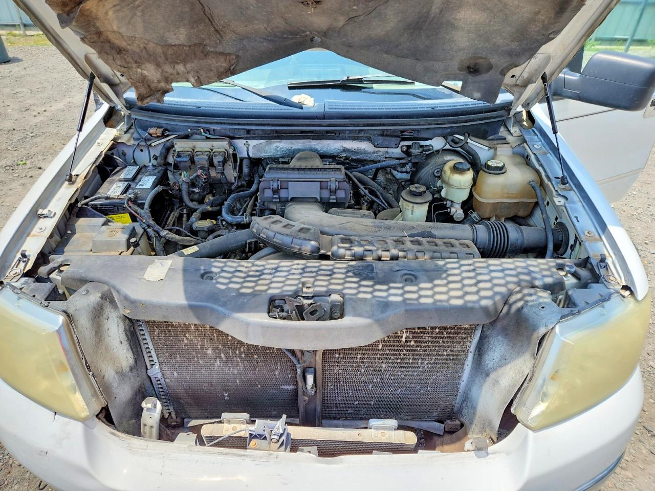 2006 Ford F150 Supercrew White vin: 1FTPW12V86FB52447