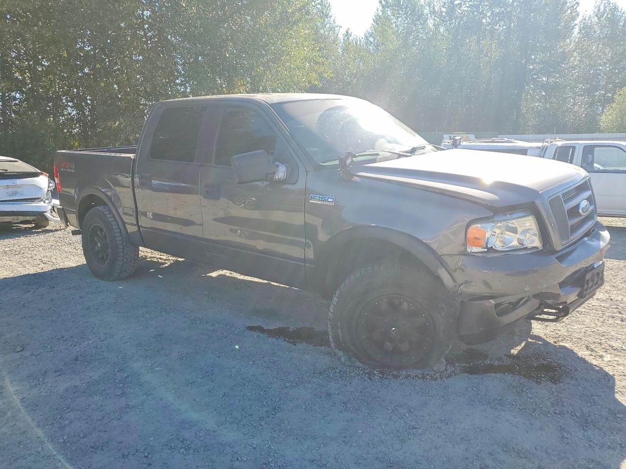 2005 Ford F150 Supercrew Gray vin: 1FTPW14585KE79787